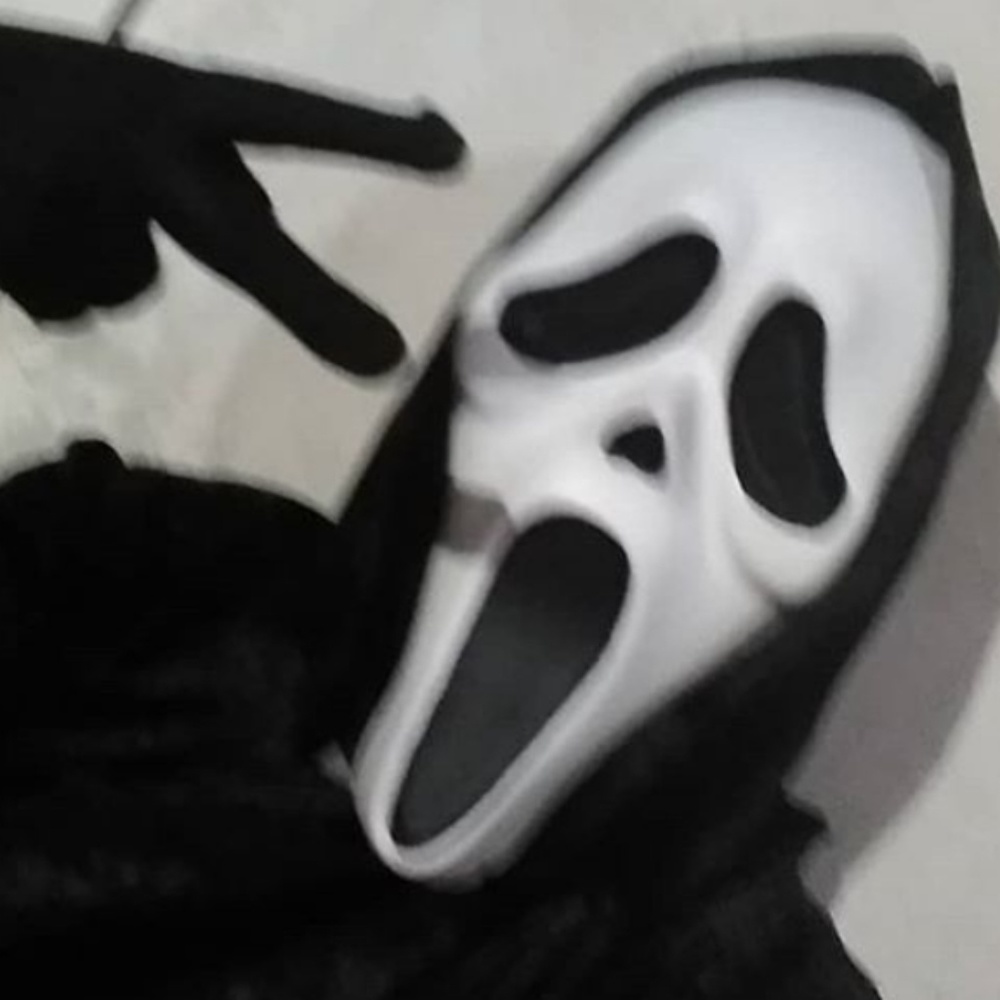 Meet your Posher, Nadine